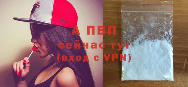 дмт Абаза