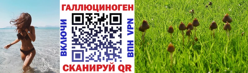 Псилоцибиновые грибы Magic Shrooms Кириллов