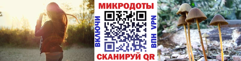 Галлюциногенные грибы MAGIC MUSHROOMS  где можно купить   Кириллов 